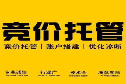 行业领先企业如何运用SEM进行精准营销